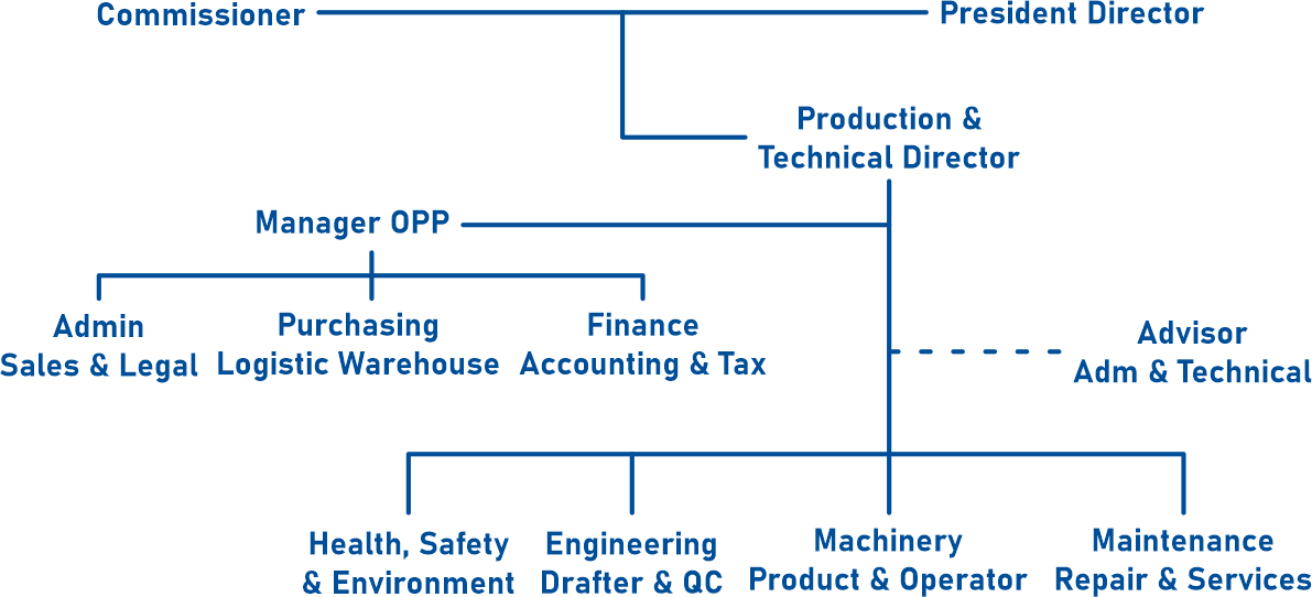 organizational structure PT DIM