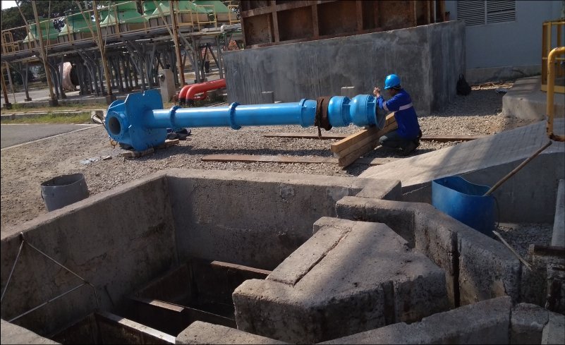 repair vertical pump PT DIM